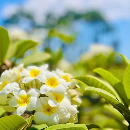 House Deluxe Maspalomas (Gran Canaria)