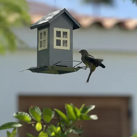 House Deluxe 펜션 마스팔로마스