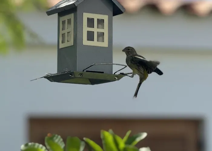 House Deluxe Nyaraló Maspalomas