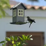 House Deluxe Casa de Férias Maspalomas (Gran Canaria)
